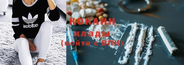 ECSTASY Инсар
