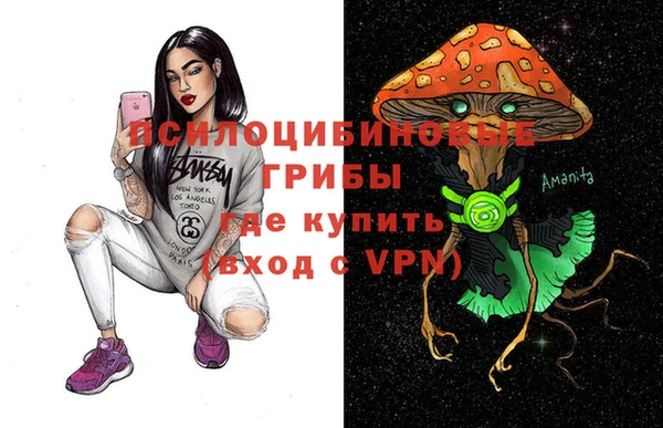 ECSTASY Инсар