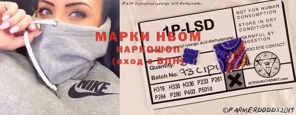 ECSTASY Инсар