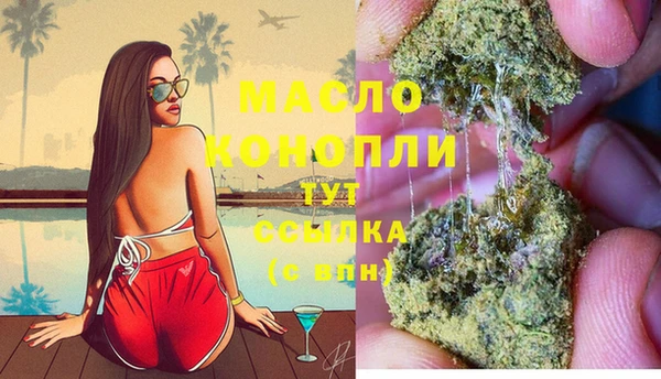 ECSTASY Инсар